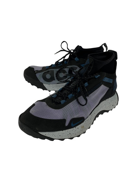 NIKE ACG ZOOM Trrra Zaherra 27cm