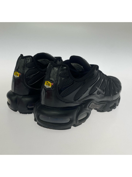 NIKE スニーカー AIR MAX PLUS BLACK 黒 (29.0cm)