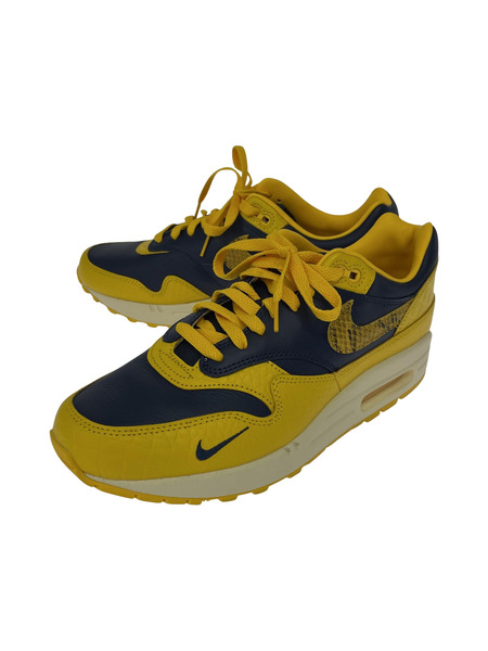 NIKE Women's Air Max 1 PRM 28.5cm Head to Head