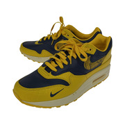 NIKE Women's Air Max 1 PRM 28.5cm Head to Head