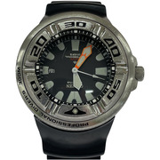 CITIZEN PROFESSIONAL DIVER'S 300M