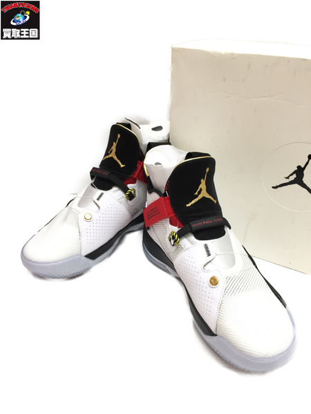 NIKE AIR JORDAN XXXIII PF size27cm BV5072-100 ナイキ エア