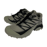 SALOMON XT-PATHWAY GTX 475774 (26.5cm) グレー