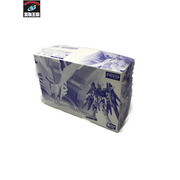 ガンプラ RG デスティニーガンダム(チタニウムフィニッシュ)