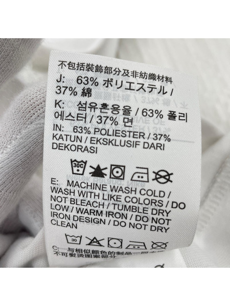 NIKE 半袖Tシャツ・カットソー ACG NRG LBR LUNGS S/S TEE[値下]