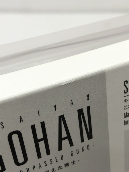 S.H.Figuarts スーパーサイヤ人孫悟飯-悟空を超えた戦士-