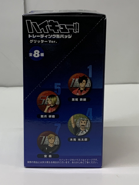 ハイキュー!! 挑戦者達 TD 缶バッジ グリッターver. BOX (全8種入り) 未開封 トレーディング CAN BADGE 日向翔陽 影山飛雄 月島蛍 及川徹 孤爪研磨 黒尾鉄朗 木兎光太郎 宮侑