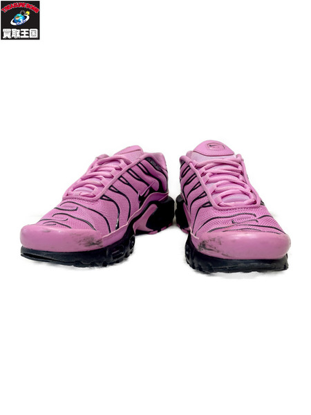 NIKE W AIR MAX PLUS SE PLAYFUL 23.5cm HJ9743-601