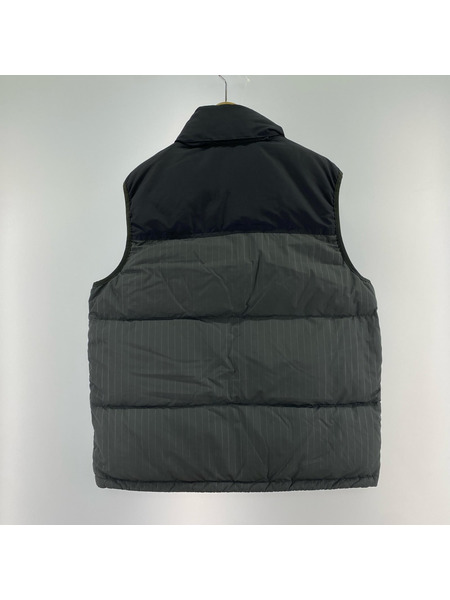 STUSSY ダウンベスト old stussy ワールドタグ