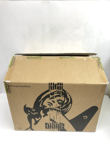 HYSTERIC GLAMOUR  ギターガールクーラーボックス