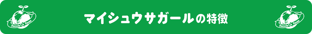 マイシュウサガールの特徴