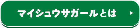 マイシュウサガールとは